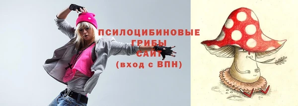 соль ск Балахна