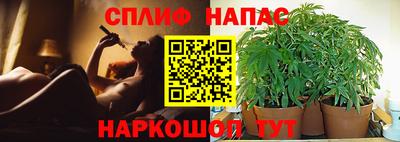 молекула духа Белорецк