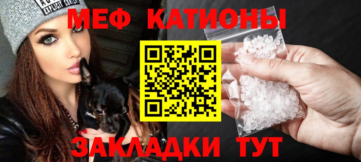 МЕФ  Балтийск