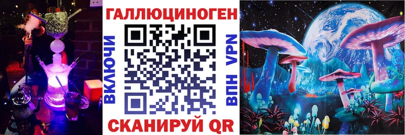 Псилоцибиновые грибы Psilocybine cubensis Балтийск