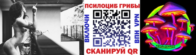 Галлюциногенные грибы Psilocybine cubensis  Балтийск 